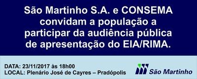 01_Faixa - USINA SAO MARTINHO (EIA-RIMA) - 250 x 100 cm.jpg