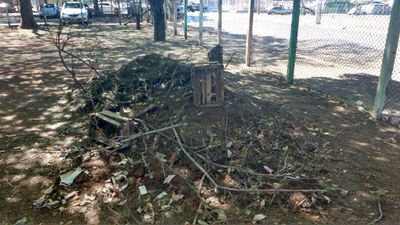 WhatsApp Image 2017-09-15 at 09.16.35.jpeg