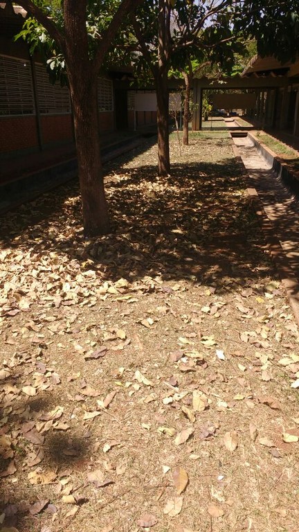 WhatsApp Image 2017-09-15 at 09.16.38 (1).jpeg