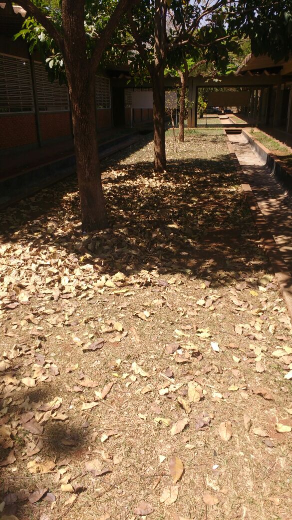 WhatsApp Image 2017-09-15 at 09.16.38 (1).jpeg