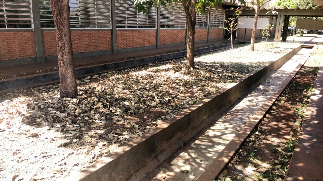 WhatsApp Image 2017-09-15 at 09.16.40.jpeg